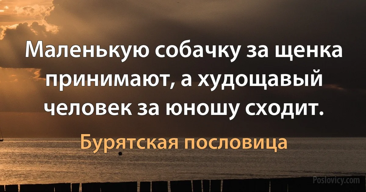 Маленькую собачку за щенка принимают, а худощавый человек за юношу сходит. (Бурятская пословица)