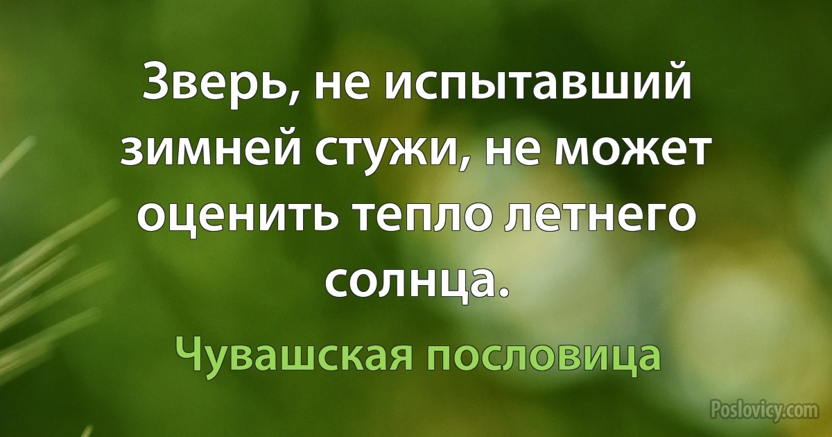 Зверь, не испытавший зимней стужи, не может оценить тепло летнего солнца. (Чувашская пословица)