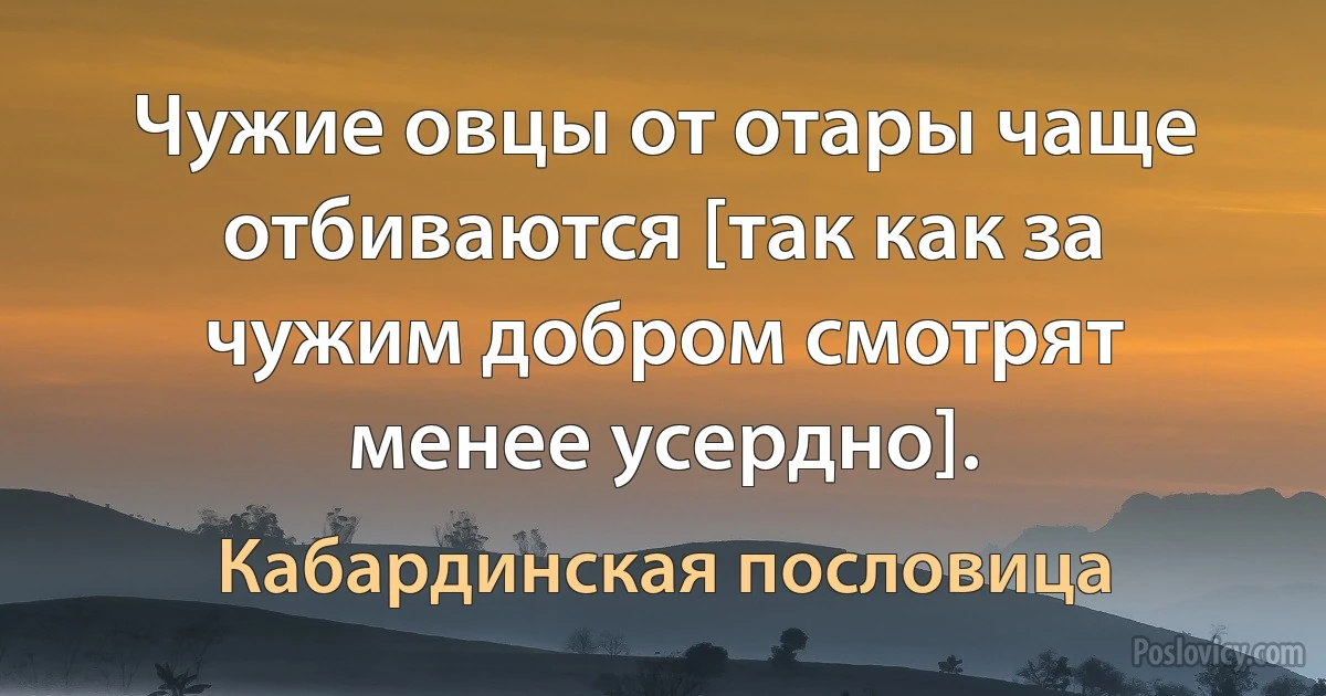 Чужие овцы от отары чаще отбиваются [так как за чужим добром смотрят менее усердно]. (Кабардинская пословица)