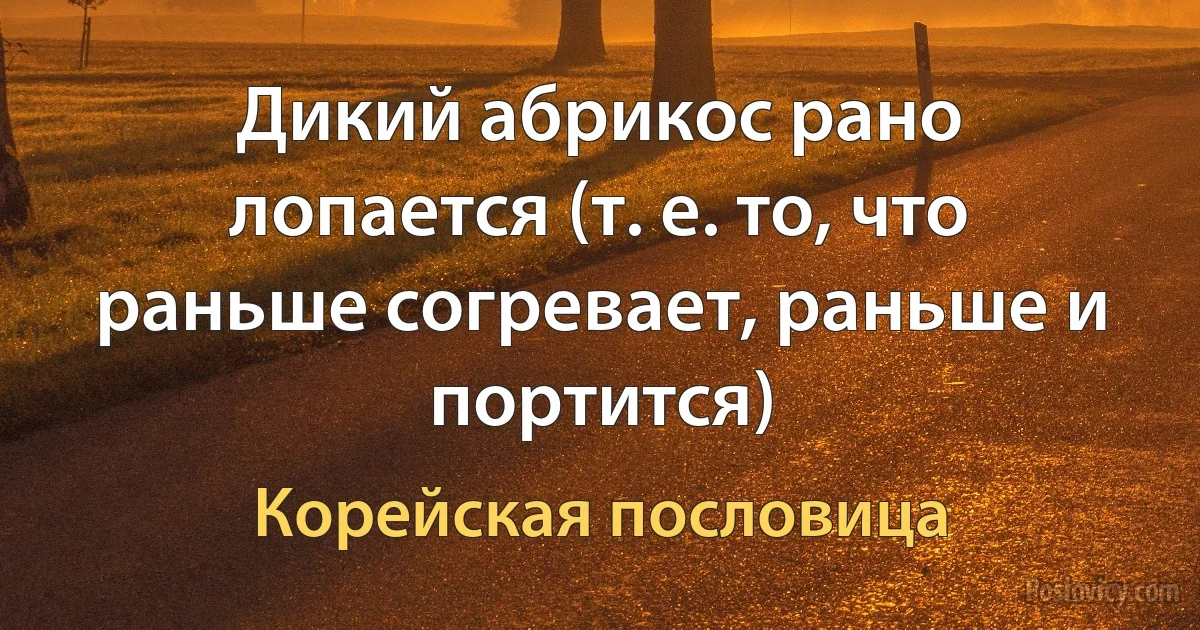 Дикий абрикос рано лопается (т. е. то, что раньше согревает, раньше и портится) (Корейская пословица)