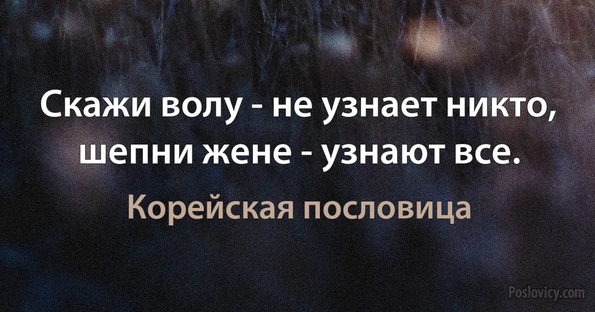 Скажи волу - не узнает никто, шепни жене - узнают все. (Корейская пословица)