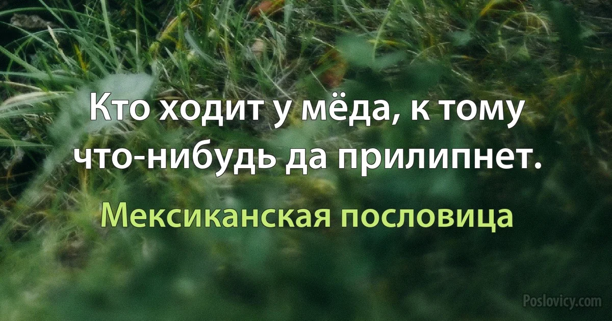 Кто ходит у мёда, к тому что-нибудь да прилипнет. (Мексиканская пословица)