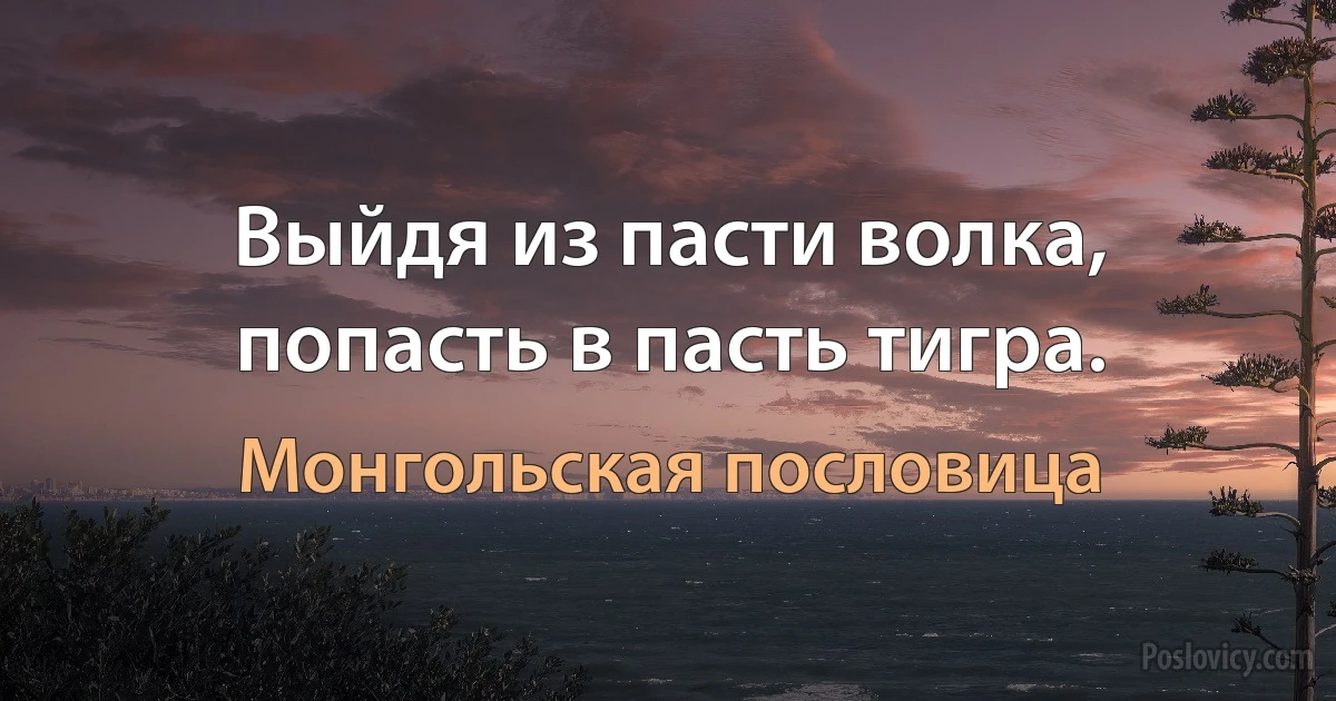 Выйдя из пасти волка, попасть в пасть тигра. (Монгольская пословица)