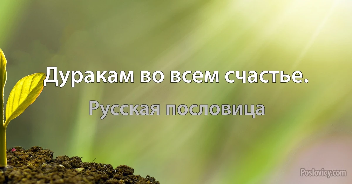 Дуракам во всем счастье. (Русская пословица)