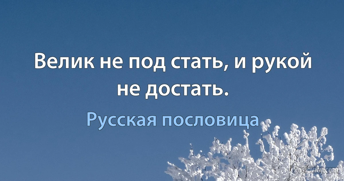 Велик не под стать, и рукой не достать. (Русская пословица)