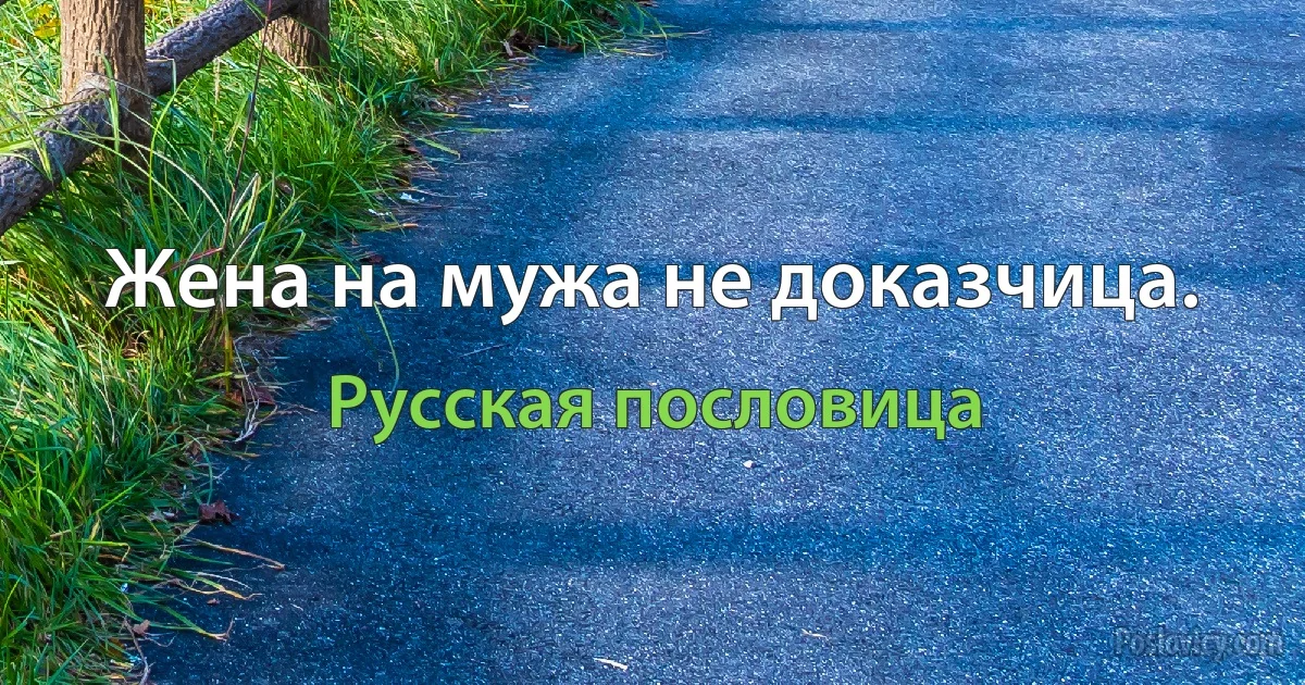 Жена на мужа не доказчица. (Русская пословица)