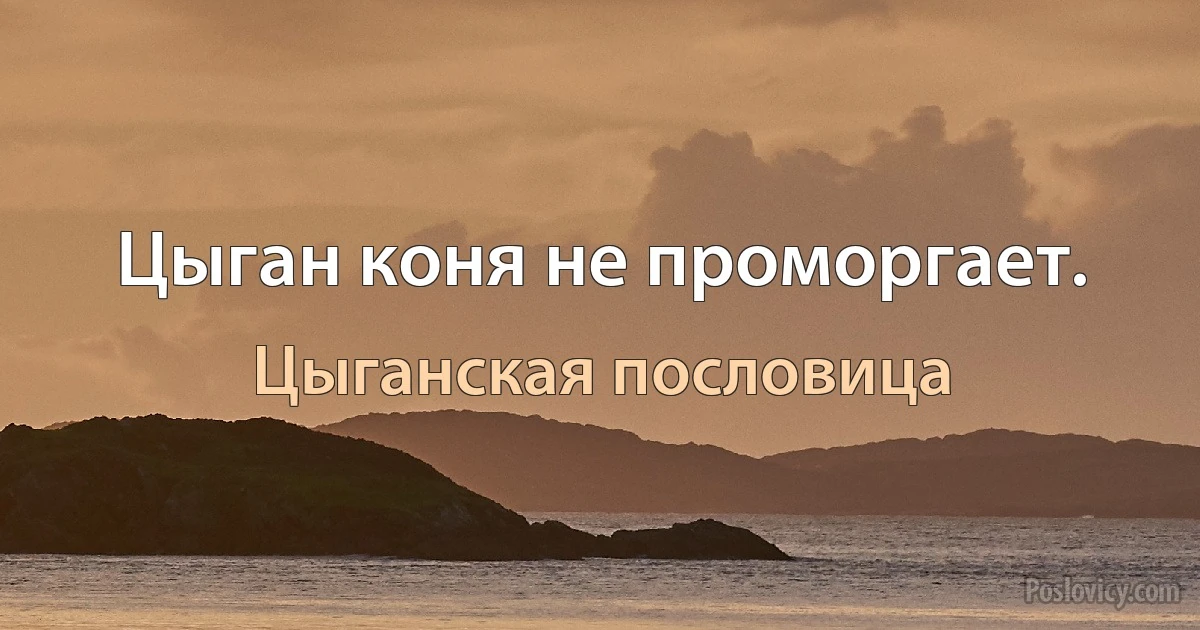 Цыган коня не проморгает. (Цыганская пословица)