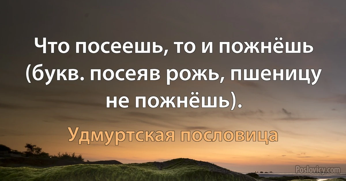 Что посеешь, то и пожнёшь (букв. посеяв рожь, пшеницу не пожнёшь). (Удмуртская пословица)