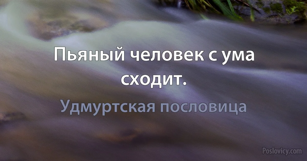 Пьяный человек с ума сходит. (Удмуртская пословица)