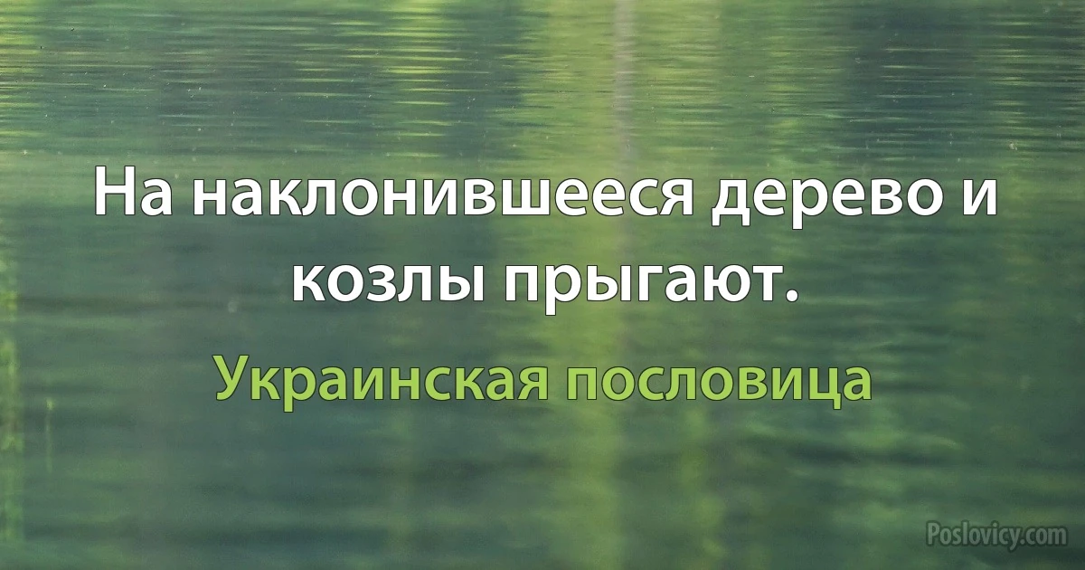 На наклонившееся дерево и козлы прыгают. (Украинская пословица)