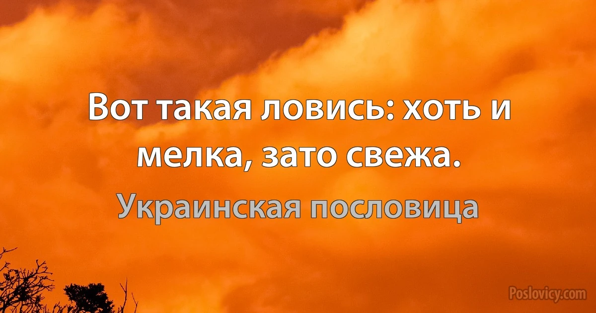 Вот такая ловись: хоть и мелка, зато свежа. (Украинская пословица)