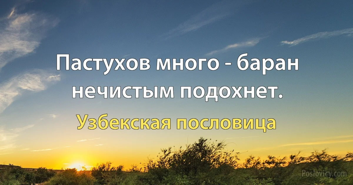 Пастухов много - баран нечистым подохнет. (Узбекская пословица)