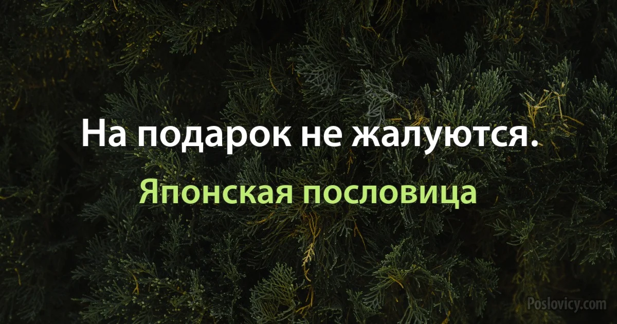 На подарок не жалуются. (Японская пословица)