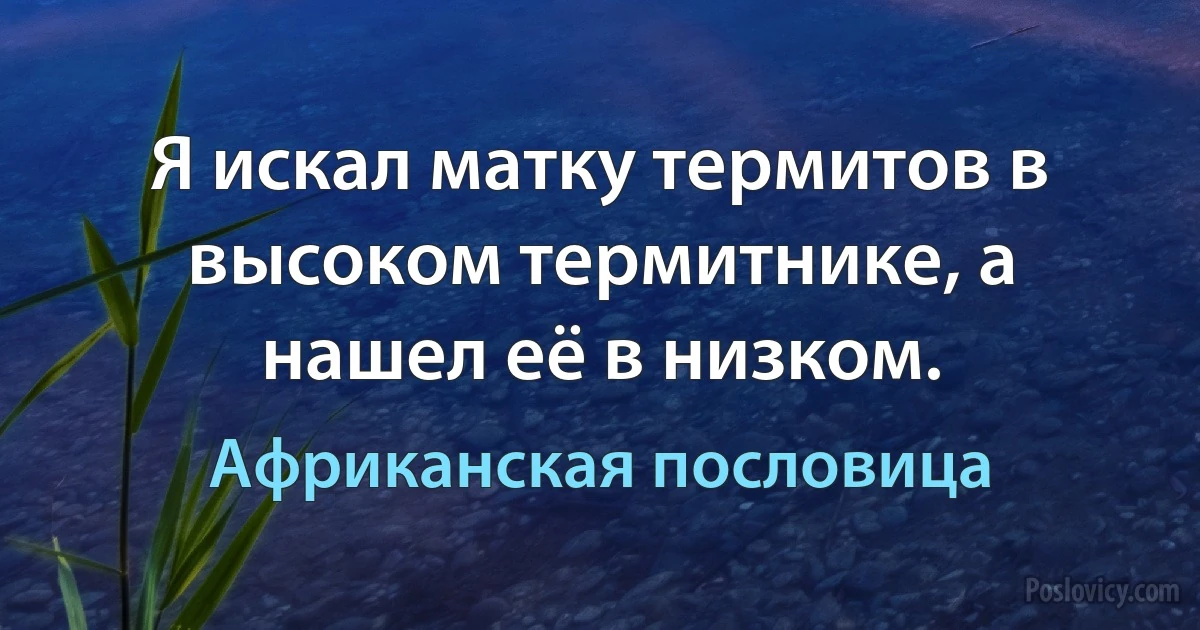 Я искал матку термитов в высоком термитнике, а нашел её в низком. (Африканская пословица)