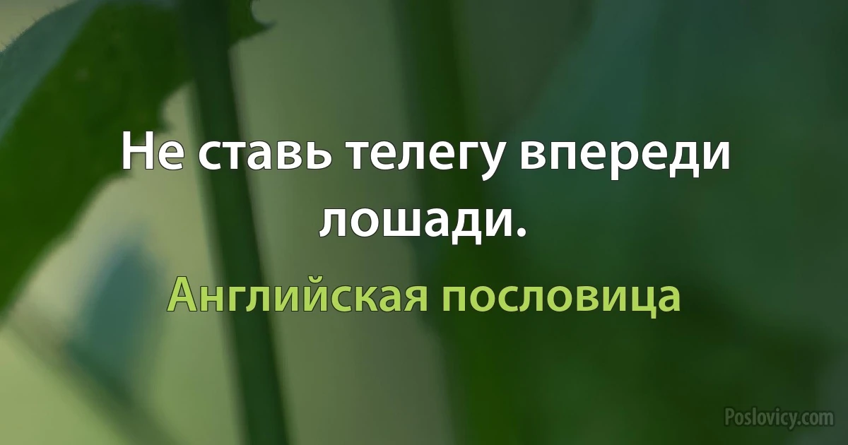 Не ставь телегу впереди лошади. (Английская пословица)