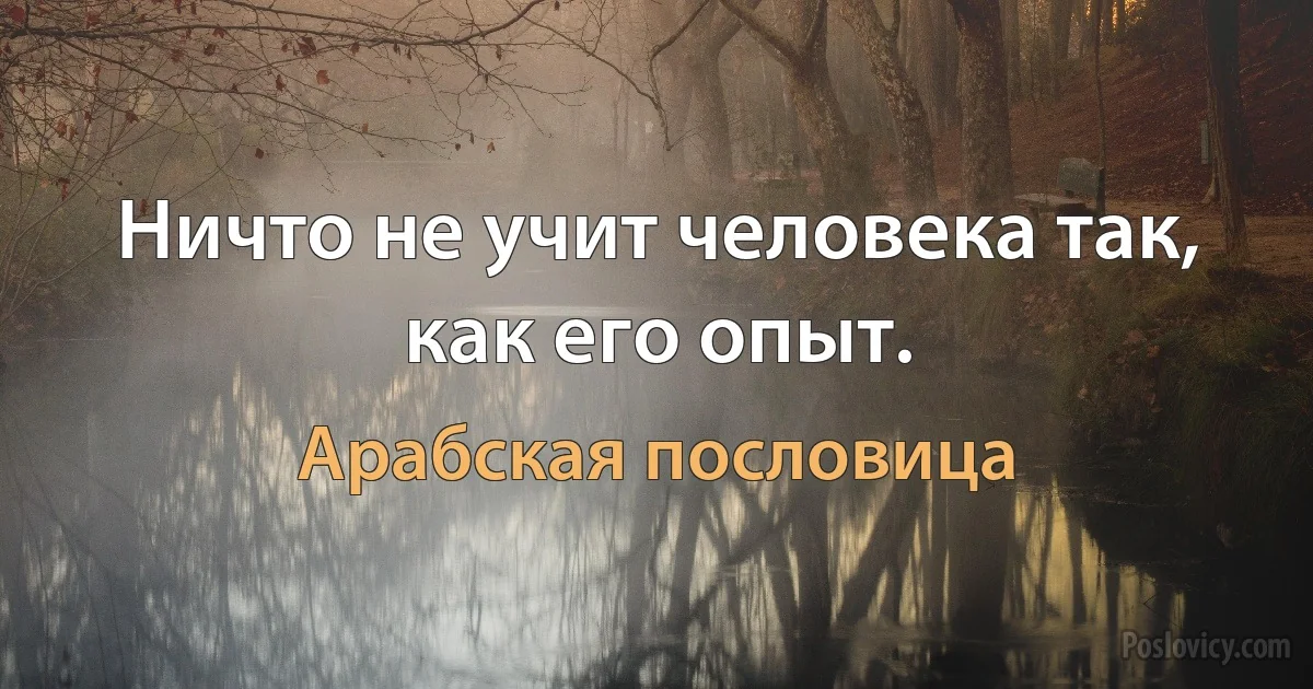 Ничто не учит человека так, как его опыт. (Арабская пословица)