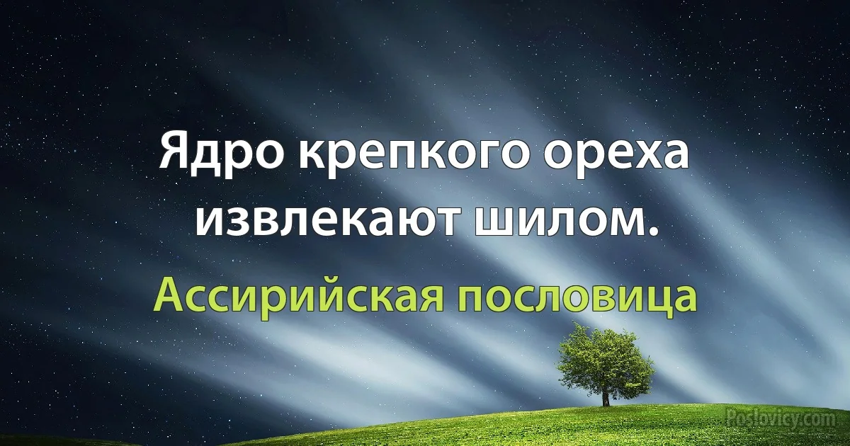 Ядро крепкого ореха извлекают шилом. (Ассирийская пословица)