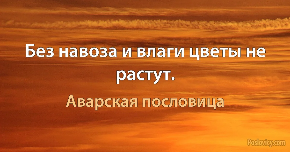 Без навоза и влаги цветы не растут. (Аварская пословица)