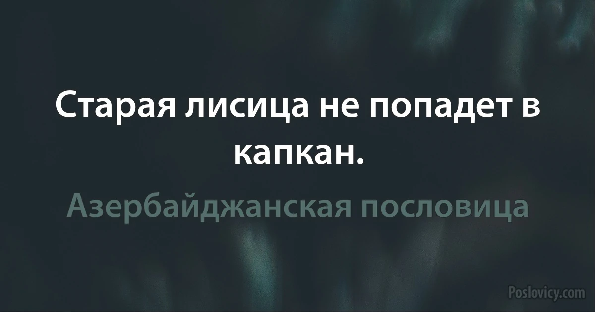 Старая лисица не попадет в капкан. (Азербайджанская пословица)