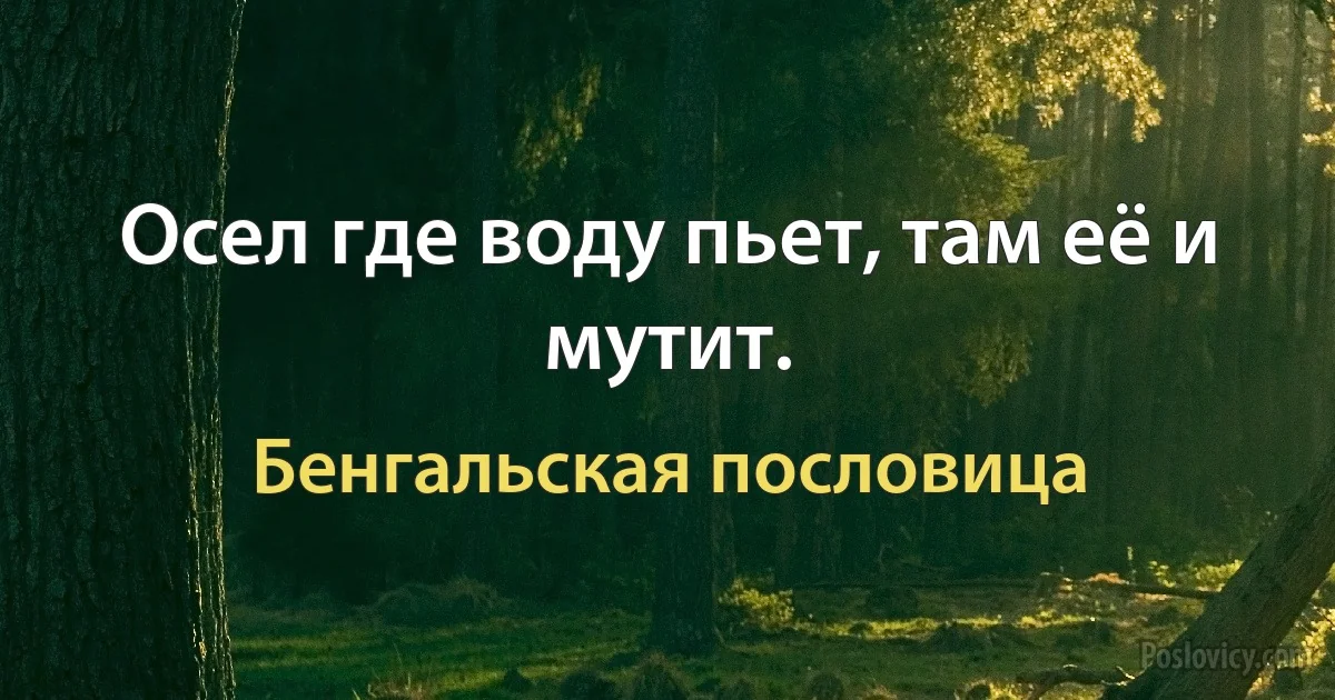 Осел где воду пьет, там её и мутит. (Бенгальская пословица)