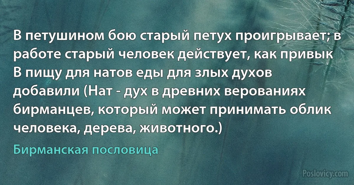 В петушином бою старый петух проигрывает; в работе старый человек действует, как привык
В пищу для натов еды для злых духов добавили (Нат - дух в древних верованиях бирманцев, который может принимать облик человека, дерева, животного.) (Бирманская пословица)