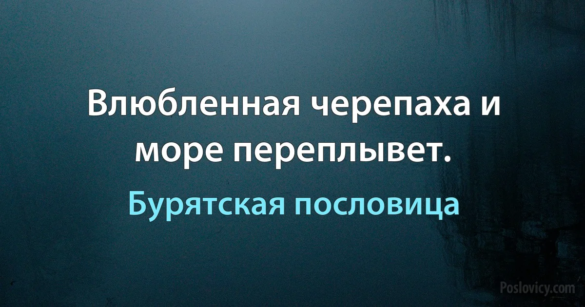 Влюбленная черепаха и море переплывет. (Бурятская пословица)