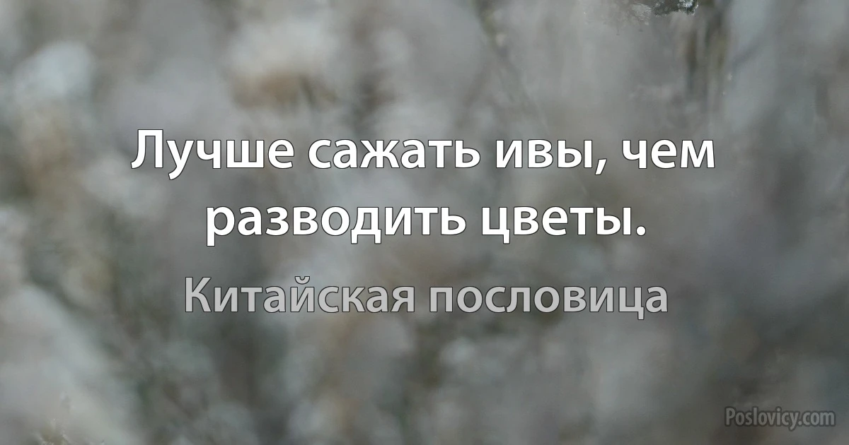 Лучше сажать ивы, чем разводить цветы. (Китайская пословица)