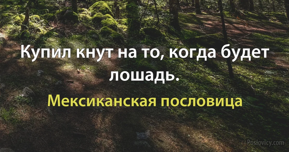 Купил кнут на то, когда будет лошадь. (Мексиканская пословица)