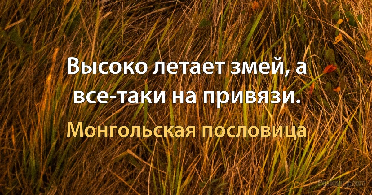 Высоко летает змей, а все-таки на привязи. (Монгольская пословица)