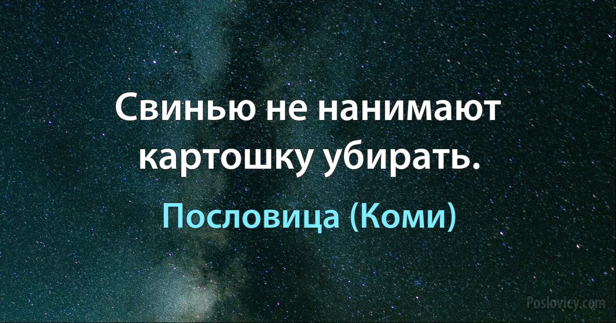 Свинью не нанимают картошку убирать. (Пословица (Коми))