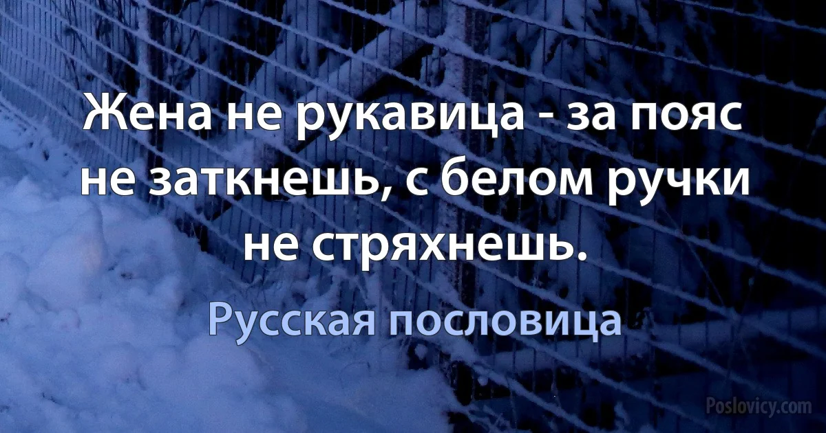 Жена не рукавица - за пояс не заткнешь, с белом ручки не стряхнешь. (Русская пословица)