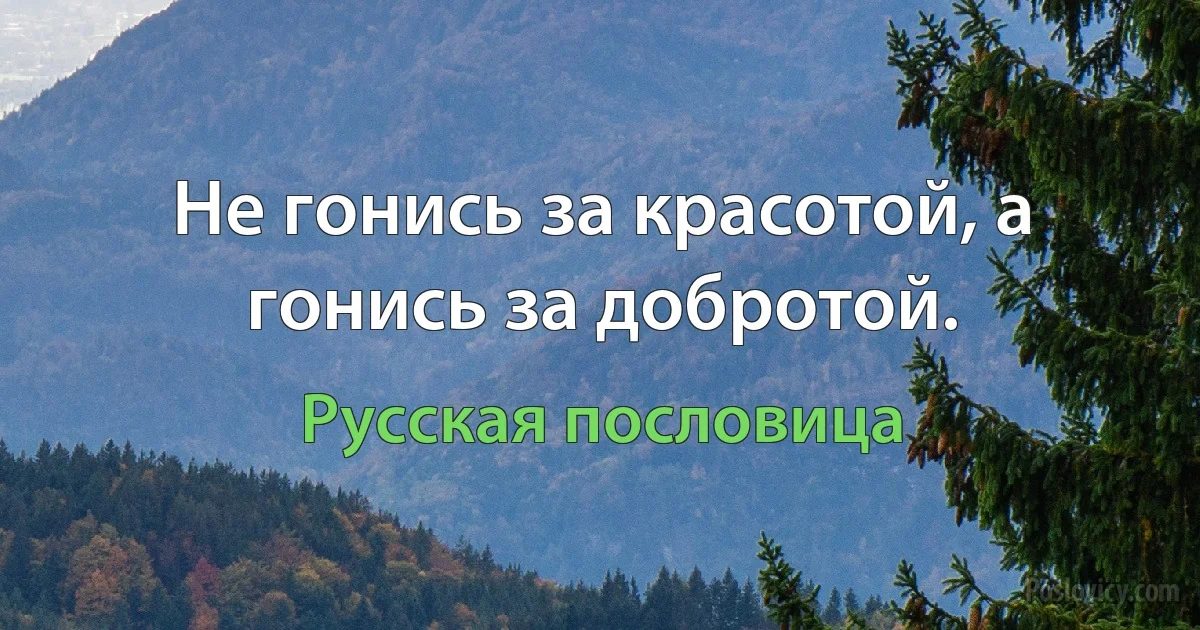 Не гонись за красотой, а гонись за добротой. (Русская пословица)