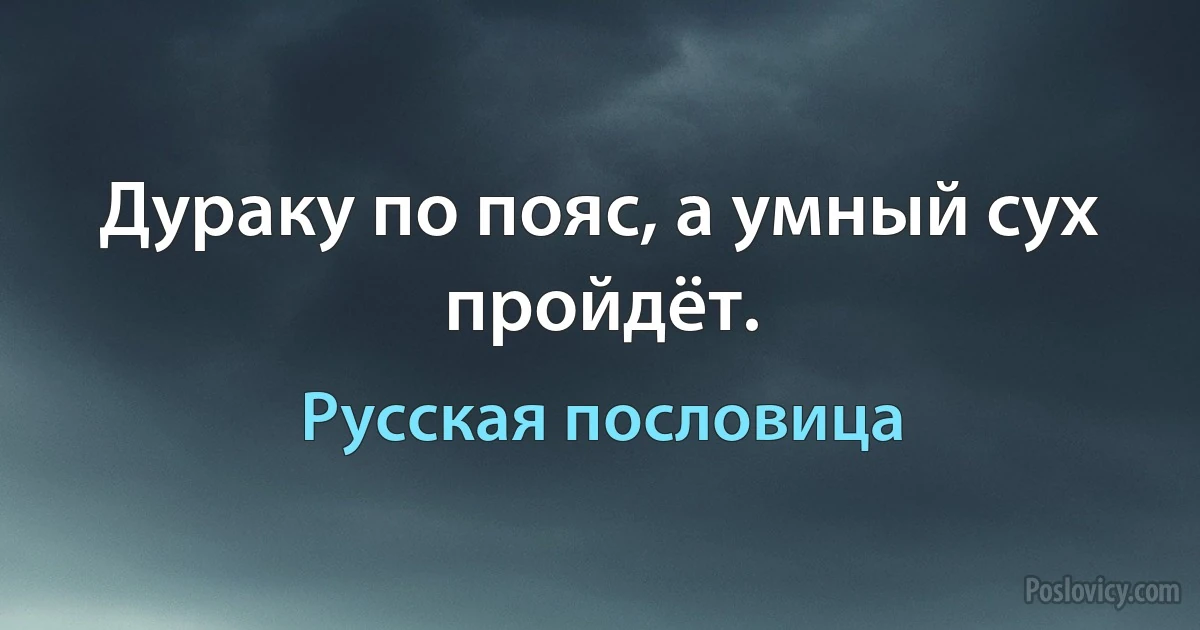 Дураку по пояс, а умный сух пройдёт. (Русская пословица)