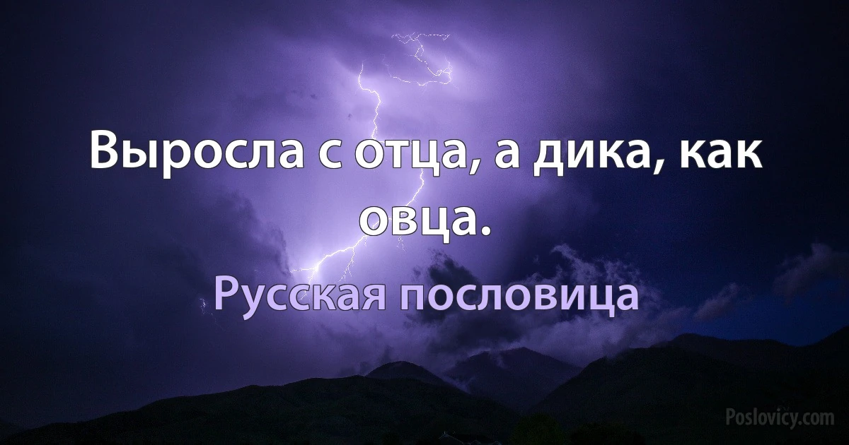 Выросла с отца, а дика, как овца. (Русская пословица)