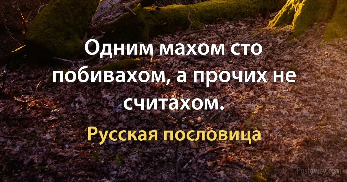 Одним махом сто побивахом, а прочих не считахом. (Русская пословица)