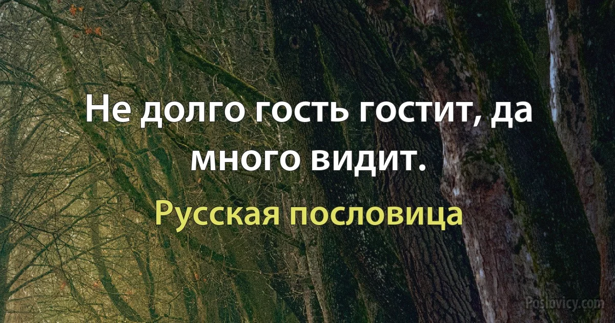 Не долго гость гостит, да много видит. (Русская пословица)