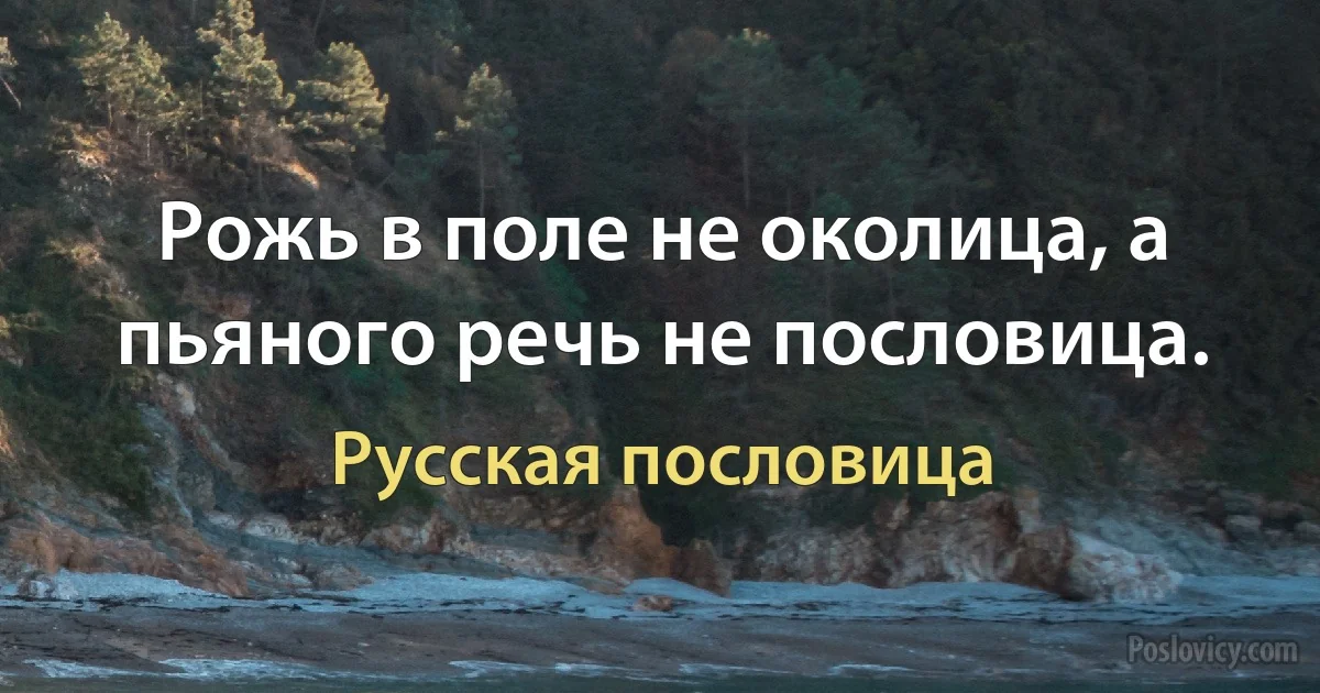 Рожь в поле не околица, а пьяного речь не пословица. (Русская пословица)