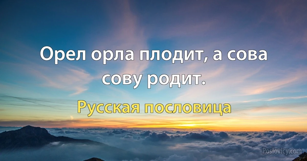 Орел орла плодит, а сова сову родит. (Русская пословица)