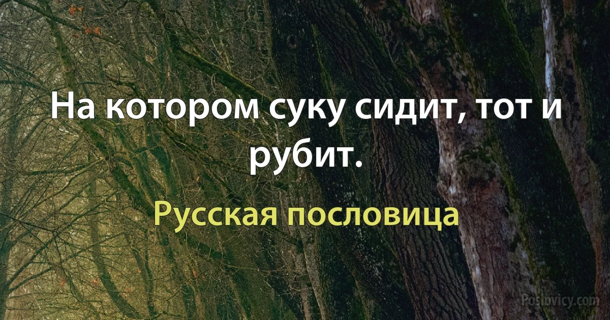 На котором суку сидит, тот и рубит. (Русская пословица)