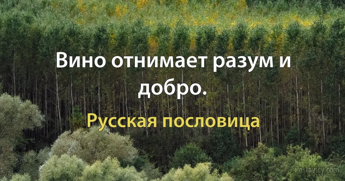 Вино отнимает разум и добро. (Русская пословица)