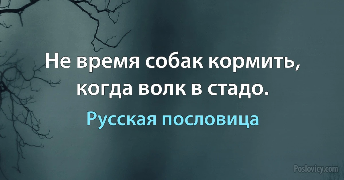 Не время собак кормить, когда волк в стадо. (Русская пословица)