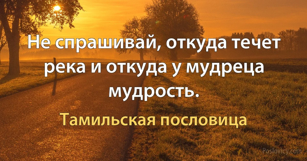 Не спрашивай, откуда течет река и откуда у мудреца мудрость. (Тамильская пословица)