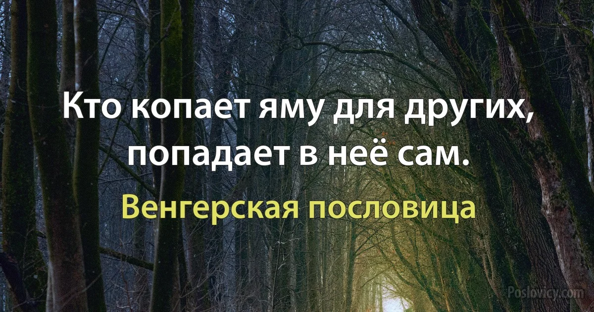 Кто копает яму для других, попадает в неё сам. (Венгерская пословица)