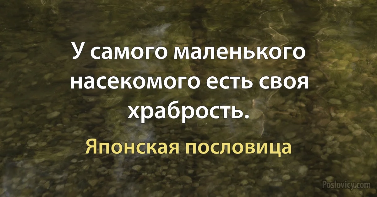 У самого маленького насекомого есть своя храбрость. (Японская пословица)