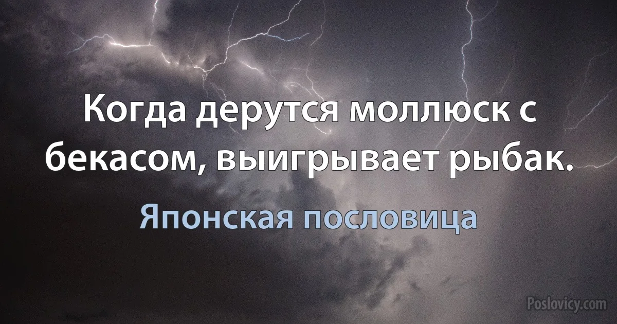 Когда дерутся моллюск с бекасом, выигрывает рыбак. (Японская пословица)