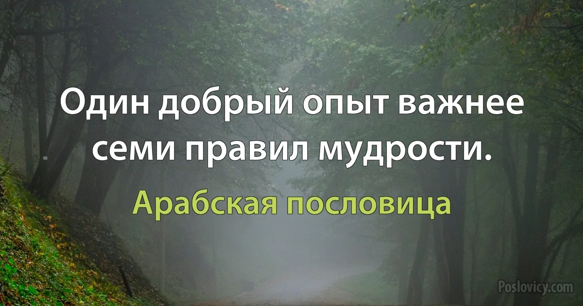 Один добрый опыт важнее семи правил мудрости. (Арабская пословица)