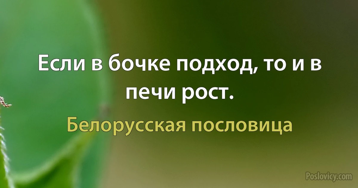 Если в бочке подход, то и в печи рост. (Белорусская пословица)