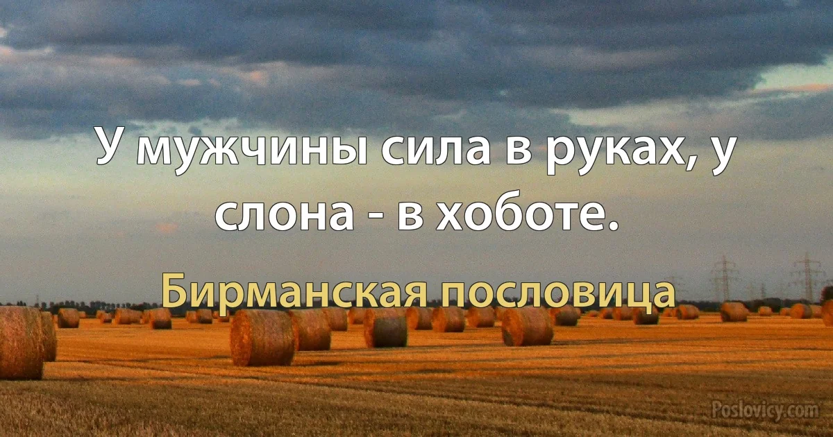 У мужчины сила в руках, у слона - в хоботе. (Бирманская пословица)