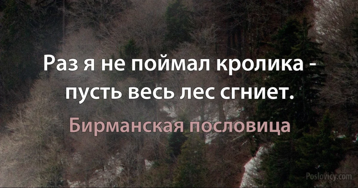 Раз я не поймал кролика - пусть весь лес сгниет. (Бирманская пословица)