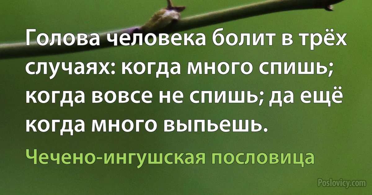 Голова человека болит в трёх случаях: когда много спишь; когда вовсе не спишь; да ещё когда много выпьешь. (Чечено-ингушская пословица)